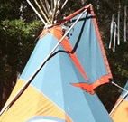Central Coast Eco Tours - Rental Cars