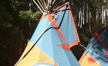 Central Coast Eco Tours - Rental Cars 0