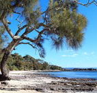 Currarong Beachside Holiday Park - Rental Cars