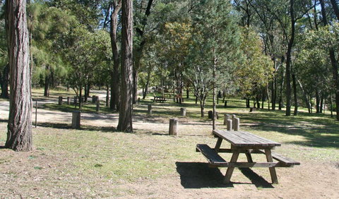 Lemon Tree Flat Campground - Rental Cars 0
