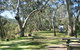 Lemon Tree Flat Campground - thumb 2