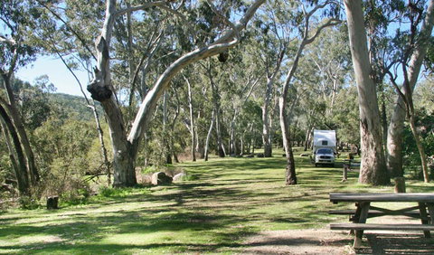 Lemon Tree Flat Campground - Rental Cars 2