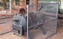 Lightning Ridge Outback Resort And Caravan Park - Rental Cars 7