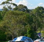 Milton Valley Holiday Park - Rental Cars