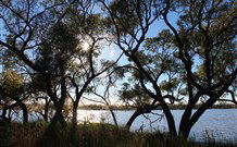 Pimpara Lake Stationstay - Rental Cars 3