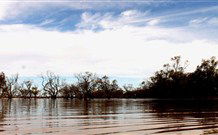 Pimpara Lake Stationstay - Rental Cars 5