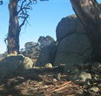 Warreen Farmstay Rural Accommodation - Rental Cars