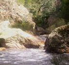 Wee Jasper Reserves Camping Sites - Rental Cars