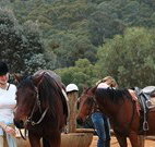 Chesleigh Homestead - Rental Cars