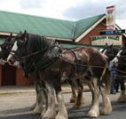 Araluen Valley Hotel - Araluen - Rental Cars