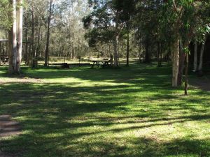 Jervis Bay Cabins And Hidden Creek Real Camping - Rental Cars 6