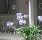 Pine Lodge Motel - Woolgoolga - Rental Cars