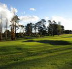 Tenterfield Golf Club and Fairways Lodge - Tenterfield - Rental Cars