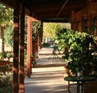 The Vineyard Motel - Cowra - Rental Cars