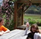 Back Forest Retreat - Rental Cars