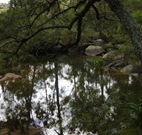 Hidden Valley Farm - Rental Cars