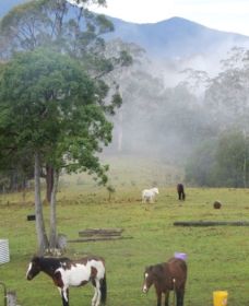 Hillview Farmstay - Rental Cars 1