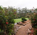 Bushview Cottage - Rental Cars