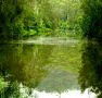 Mangrove Yoga Ashram - - Rental Cars