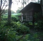 Mount Seaview Resort - Rental Cars