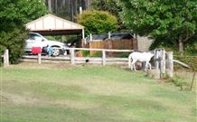 Kookaburra Cottage Pooncarie - Rental Cars 4