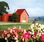 Tropical Coast Retreat - Rental Cars