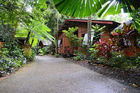 Cape Tribulation YHA - Rental Cars 4