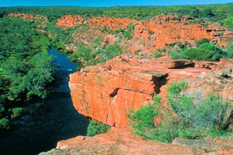 Kalbarri YHA - Rental Cars 1