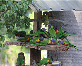 ISLAND VIEW CARAVAN PARK - Rental Cars 2