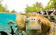 ISLAND VIEW CARAVAN PARK - thumb 3