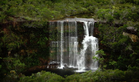 Haggerstone Island Resort - Rental Cars 6