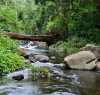 Cave Rock Cottages - Rental Cars
