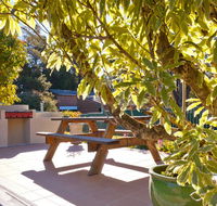 Best Western Alpine Motor Inn - Rental Cars