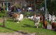 Aroundtu-It Eco Caravan Park - thumb 1