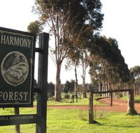 Harmony Forest - Rental Cars