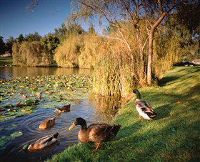 Country Club Tasmania - Rental Cars 5