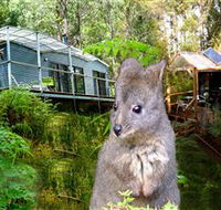 Huon Bush Retreats - Rental Cars