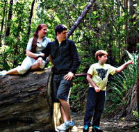Tahune Airwalk Lodge - Rental Cars