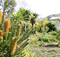 Yooringa Garden Cottage - Rental Cars