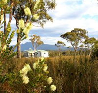 Buttongrass Retreat - Rental Cars