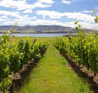 Riversdale Estate Cottages - Rental Cars