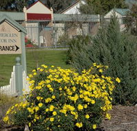 Rutherglen Motor Inn - Rental Cars