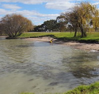 Kangaroo Lake Caravan Park - Rental Cars