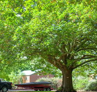 Lakes and Craters Holiday Park - Rental Cars