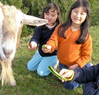 Johanna River Farm and Self Contained Cottages - Rental Cars