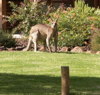 Southern Grampians Cottages - Rental Cars