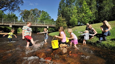 NRMA Bright Holiday Park - Rental Cars 3