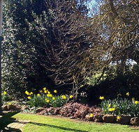 Abergeldie Bed  Breakfast - Rental Cars
