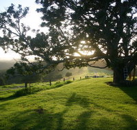 Kilfeacle Farm Cottage - Rental Cars