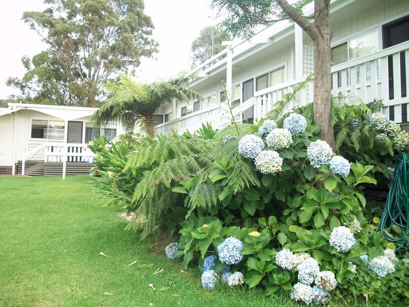 Millingandi NSW Rental Cars